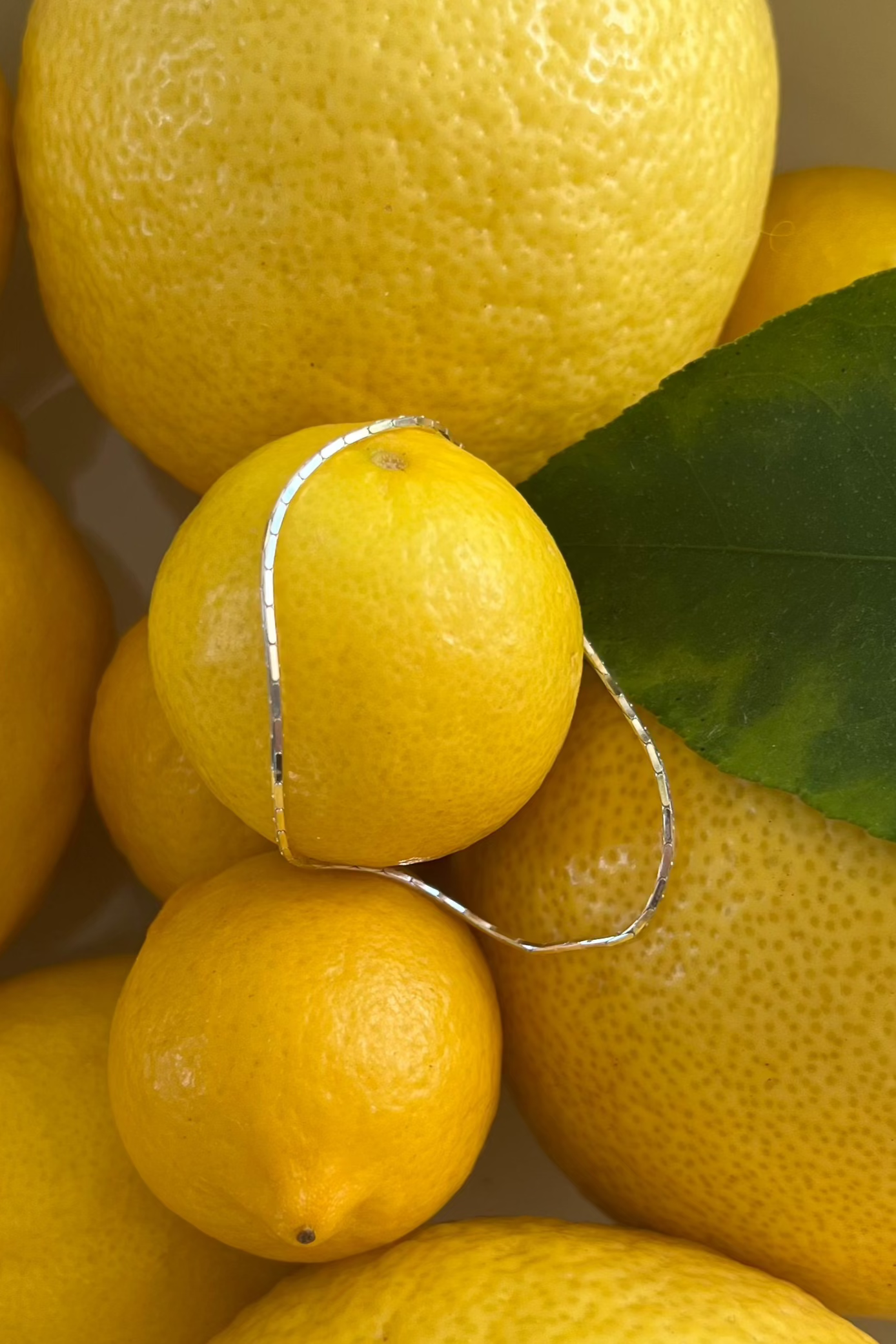 FINE LINE | Bracelet