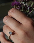 HERA | Diamant