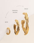 Tendril bold Hoops