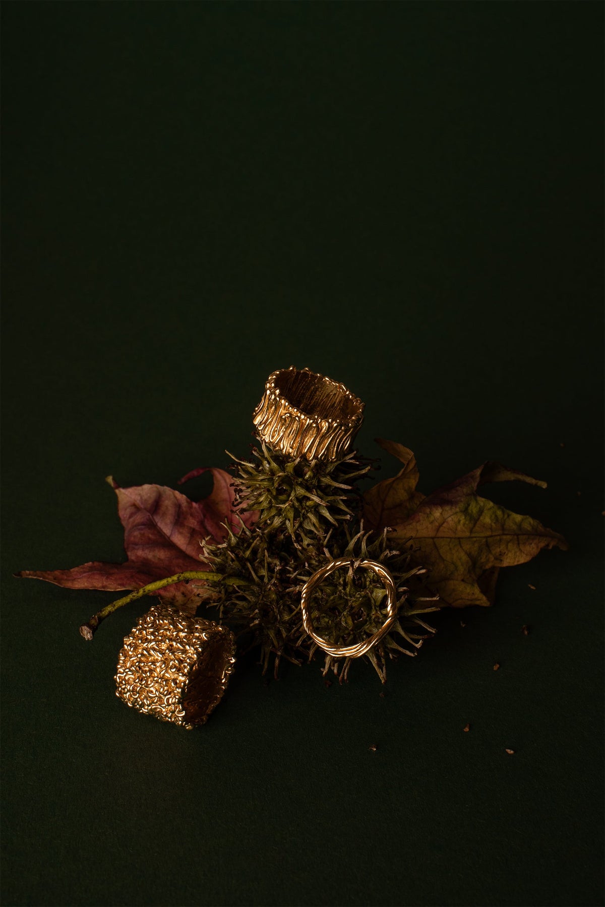 PUNTI | RINGE