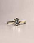 HERA | Diamant