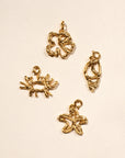 SUMMER | Charms