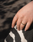 Lamettini | Ring